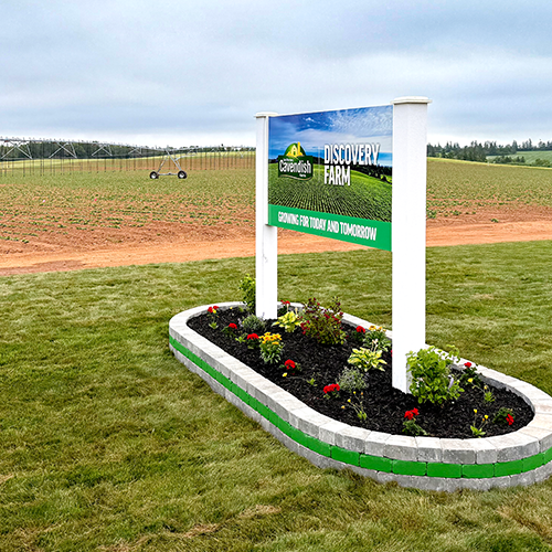 Cavendish Farms Announces Discovery Farm – A New Research Initiative   Focused on Regenerative Agriculture Practices